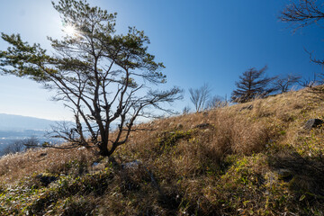 Yashigamine near the Tateshina mountain at the north edge of the Yatsu-gatake mountains