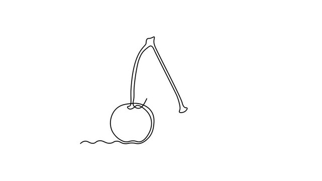 Abstract cherry berries, Self drawing animation one continuous line draw, logo