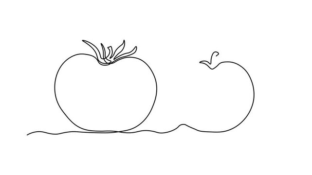 Abstract vegetable tomato and piece,slice, Self drawing animation one continuous line draw, logo