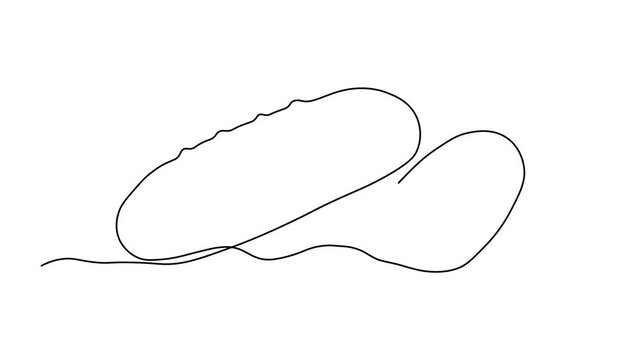 Abstract vegetable cucumber and piece,slice. Self drawing animation one continuous line draw, logo