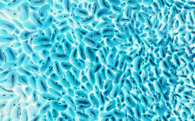 Blue Oval Translucent Cells With Nuclei Similar To Colony Of Microorganisms
