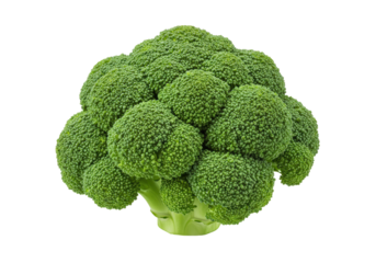 Isolated Lush Green Broccoli Head