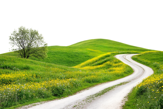 Winding dirt road through a green meadow with wildflowers isolated on transparent background