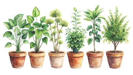 Plant pots lined up The most beautiful flower is extinct Clipart Watercolor 
