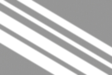 Obraz premium Glass Veil Window Shadow Overlay