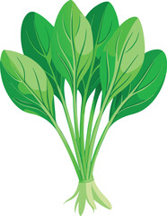 Water spinach