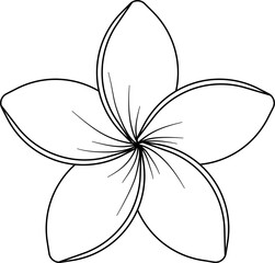 Plumeria flower outline vector © panadesignteam