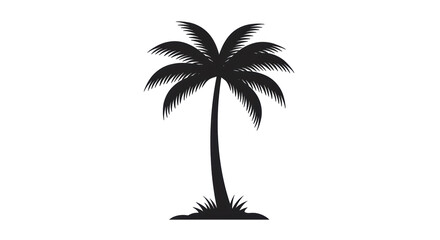 Fototapeta premium Isolated Black Silhouette of Palm Tree Tropical Vibe