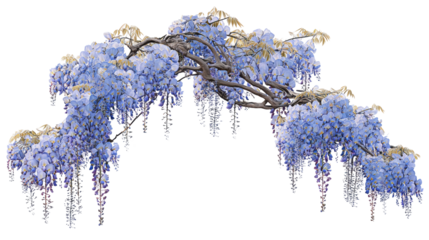 Beautiful Blue Tree with Purple Flowers: A Minimalist Botanical Illustration for Your Home Decor and Modern Aesthetic