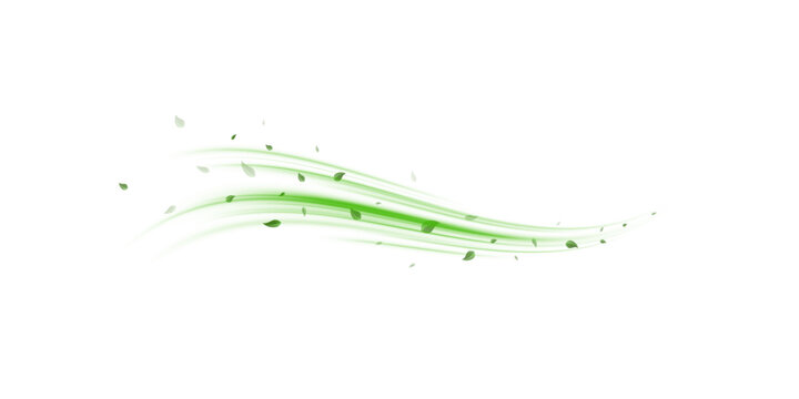 Abstract wind swirls with green leaves and glitter isolated on white background.