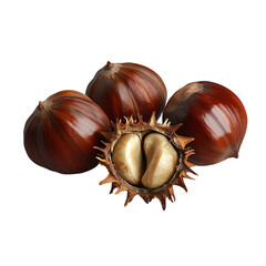 Malabar chestnuts in their spiky husk, surrounded by additional whole chestnuts, showcasing their rich, glossy texture and natural beauty. isolated on white background and transparent background
