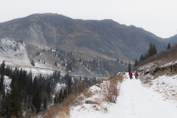 winter in the mountains, nature photography