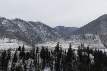 winter in the mountains, nature photography