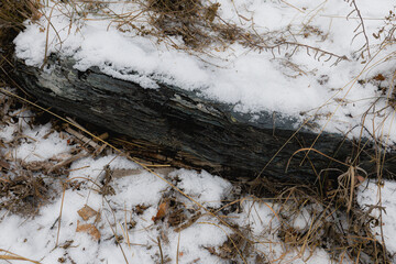 mountain stone covered with snow