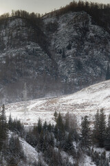 winter in the mountains, nature photography