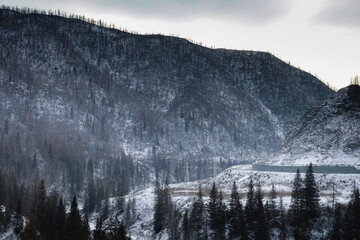 winter in the mountains, nature photography