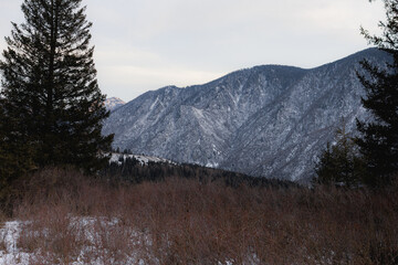 winter in the mountains, nature photography
