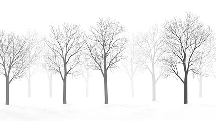 Fototapeta premium Winter Forest Landscapes with Snow and Bare Trees