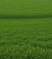 Dense, vivid green grass edge, perfect repeating pattern ,  high resolution,  nature,  eco