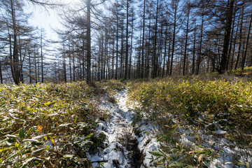 Tateshina mountain at the north edge of the Yatsu-gatake mountains
