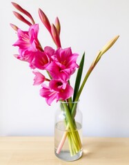 Fototapeta premium bouquet of gladiolus in a vase