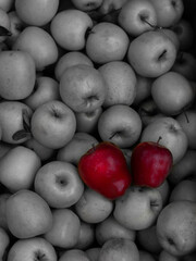 Two bright red apples stand out in a black and white composition filled with desaturated apples. The selective color technique draws focus to the vibrant red fruit, creating a bold contrast and emphas