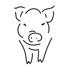 pig line vector illustration, isolated on white background