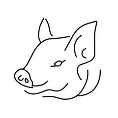 pig line vector illustration, isolated on white background