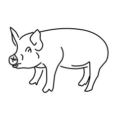 pig line vector illustration, isolated on white background