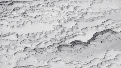 Calcium Abstract Textured Closeup White Monochrome Pattern Minimal Background Surface