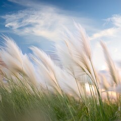 Obraz premium Element Air