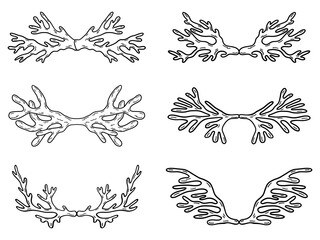 Luxury coral elements on white background. Set of underwater plants, seaweed and corals. Underwater cordon for badge or logo in sea. Elegant sea plants design for posters, cards, invitations.