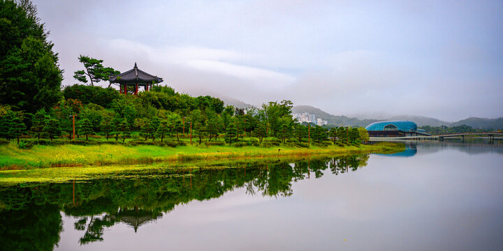 Tranquil autumn landscape at the Sejong National Arboretum in Sejong City, South Korea, with mirror-like reflections on the pond and a hilltop traditional pavilion.