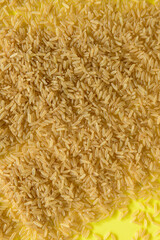 ARROZ (Oryza Sativa)