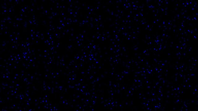 A vibrant digital animation background featuring dynamic gradients, abstract shapes, and smooth motion, evoking energy, creativity, and a futuristic, tech-inspired atmosphere with fluid transitions.