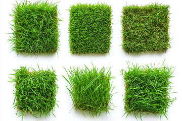 Collection of top view vibrant green grass patches isolate on white background