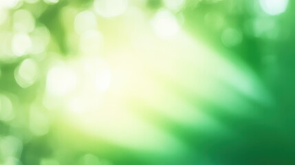 Obraz premium abstract green background