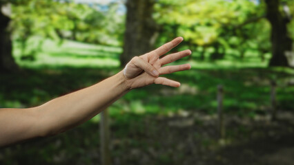 Man's hand with four fingers raised set against a lush green park landscape, indicating a natural...