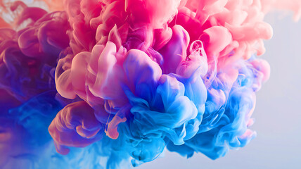 Fototapeta premium A pink and blue peony flower presents a beautiful floral closeup of spring nature's blossom, showcasing delicate petals with a touch of purple and lilac in a garden setting