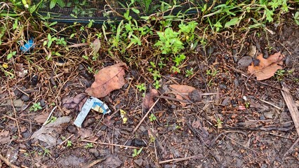 Close-up view of brown leaves, dirt, grass and weeds on the ground.