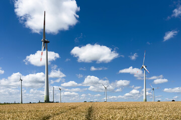 Sustainable Energy: Wind Turbines Powering a Greener Future