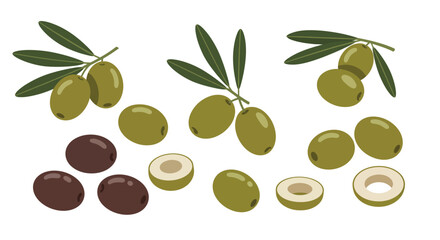 Green and black olives with leaves in flat minimal style detailed vector illustration