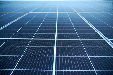 Detailed view of the surface of blue photovoltaic solar panels installed on the field, generating...