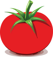 Ripe Red Tomato with Glossy Skin and Green Stem on White  Background.
