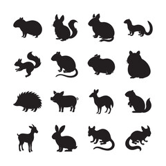 Popular Small Mammals As Pets Collection