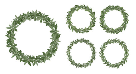 Set of five green leafy wreaths with different shapes and leaf textures in detailed flat style vector illustration