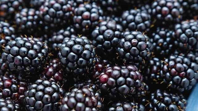 fresh juicy blackberries closeup with vibrant color and natural shine, organic fruit texture full frame background, perfect for healthy food and summer harvest themes