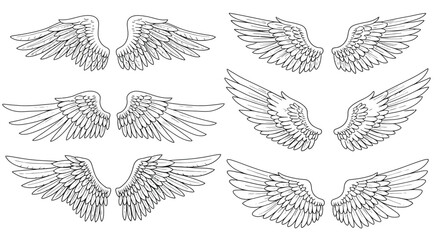 Detailed hand-drawn feathered wings in various angles and styles black and white sketch vector illustration