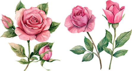 Naklejka premium Watercolor pink rose flower and leaf bouquet clipart collection