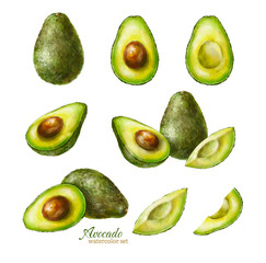 WAtercolor avocado set. Avocado elements. Digital illustration.